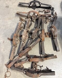 USED # 3 VICTOR LONG SPRINGS (10 TRAPS)