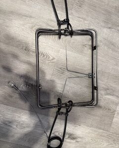 Sauvageau 2001-14 (14 "x 11"  Trap)